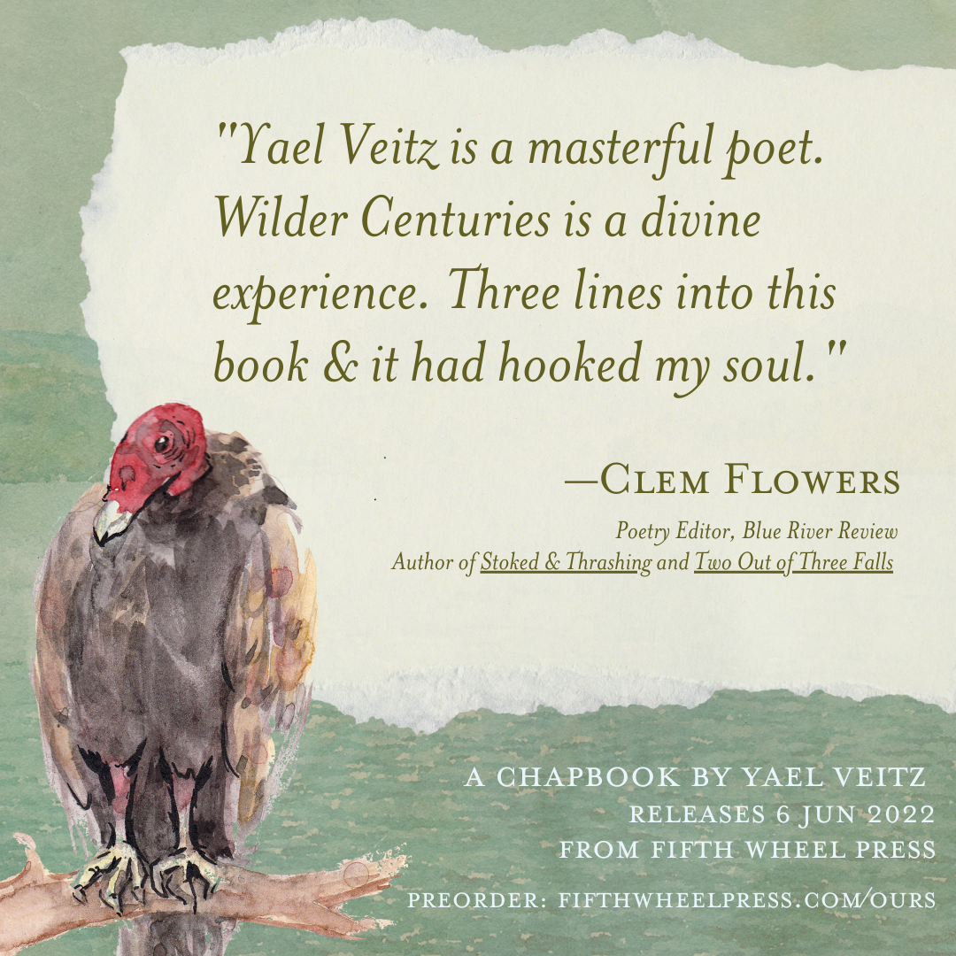 Wilder Centuries by Yael Veitz