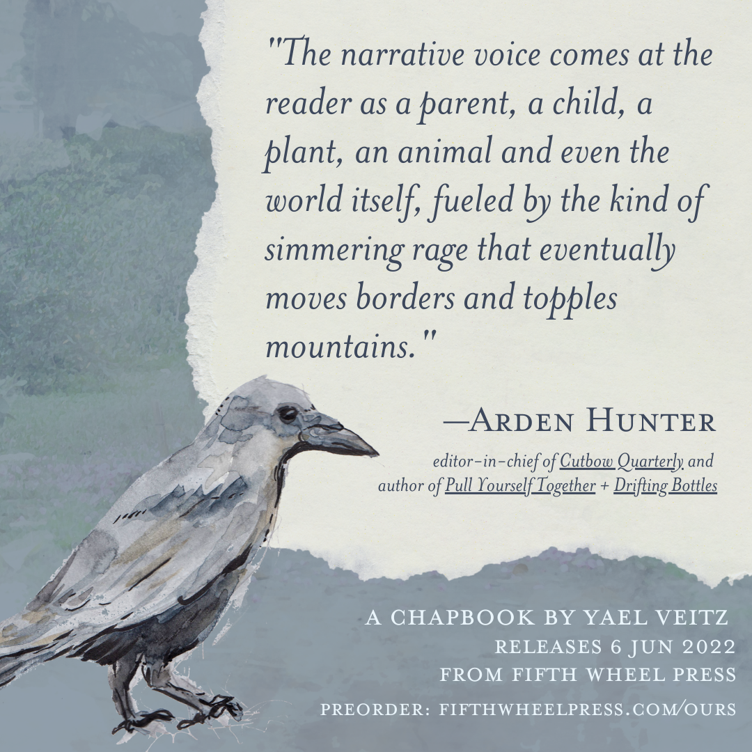 Wilder Centuries by Yael Veitz