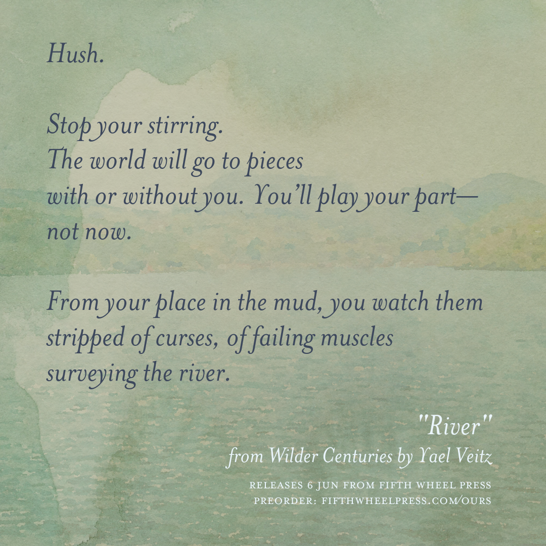 Wilder Centuries by Yael Veitz