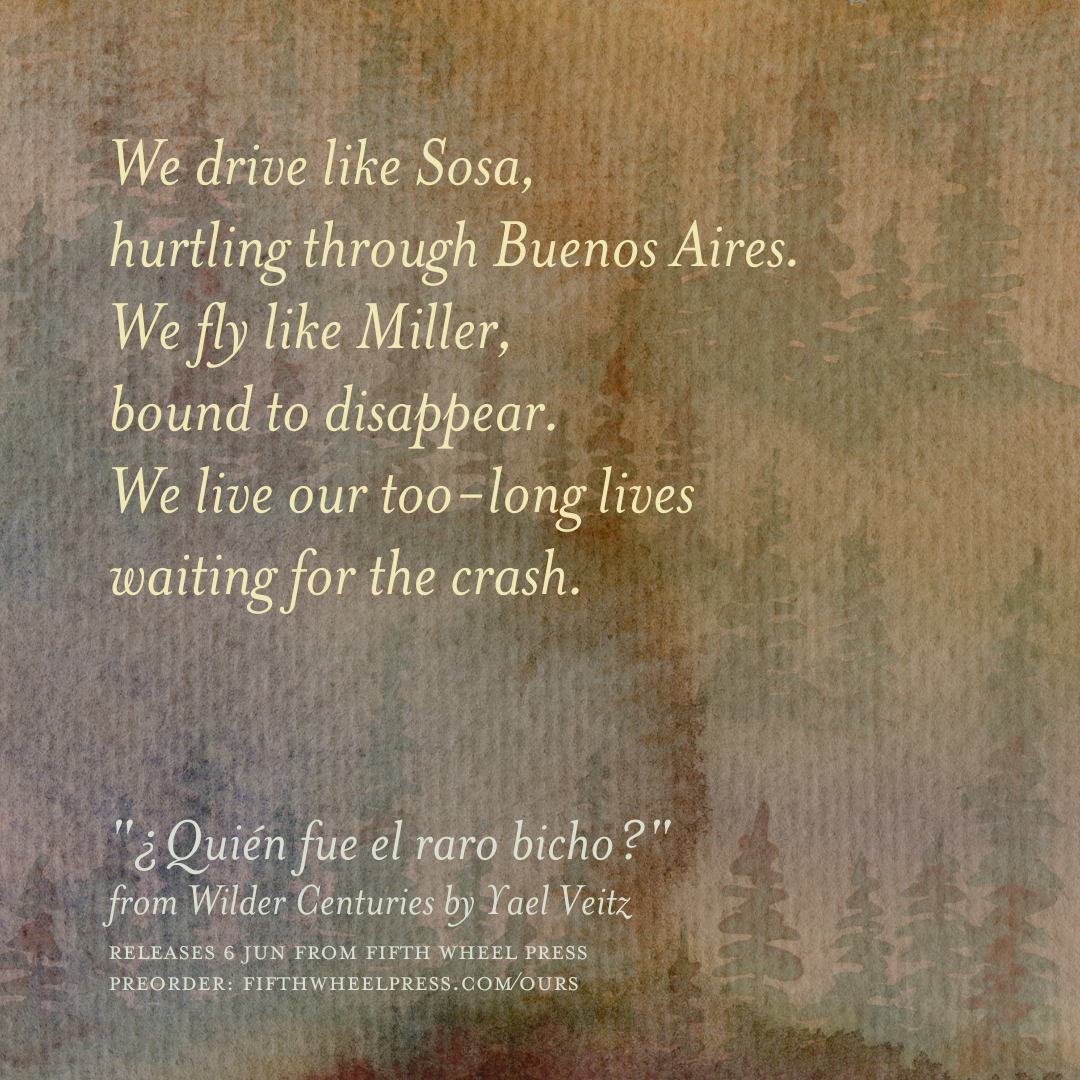 Wilder Centuries by Yael Veitz
