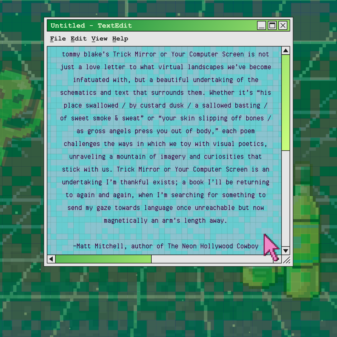 Trick Mirror or Your Computer Screen by tommy blake